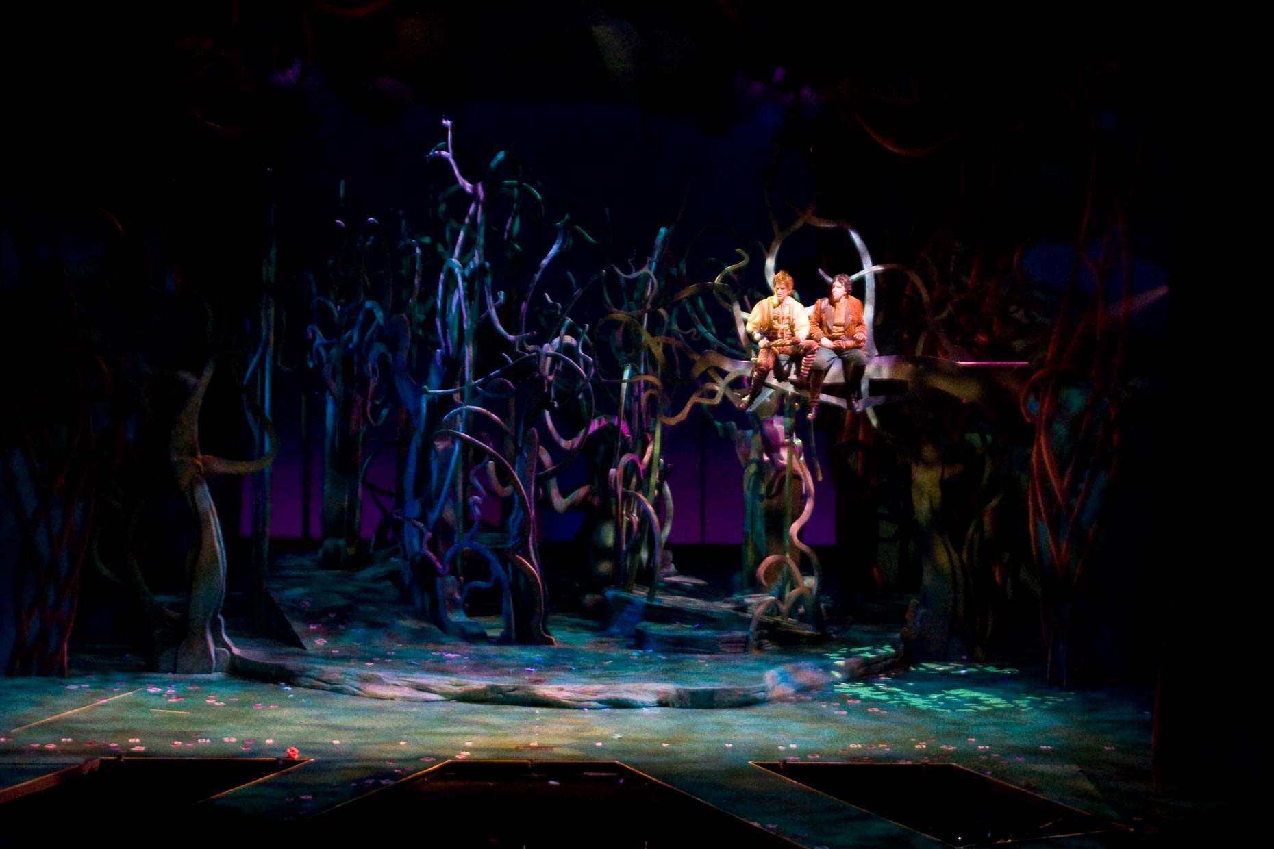 INTO THE WOODS Musical Design Set Design Scenic Design #SetDesign #ScenicDesign 