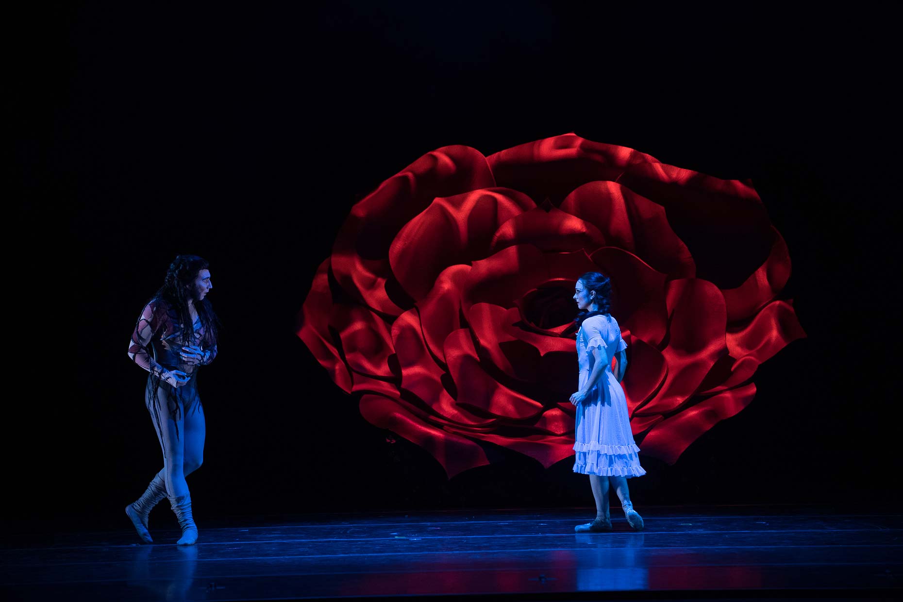 Ivinsart-MKE-Ballet-Beauty-Beast-10