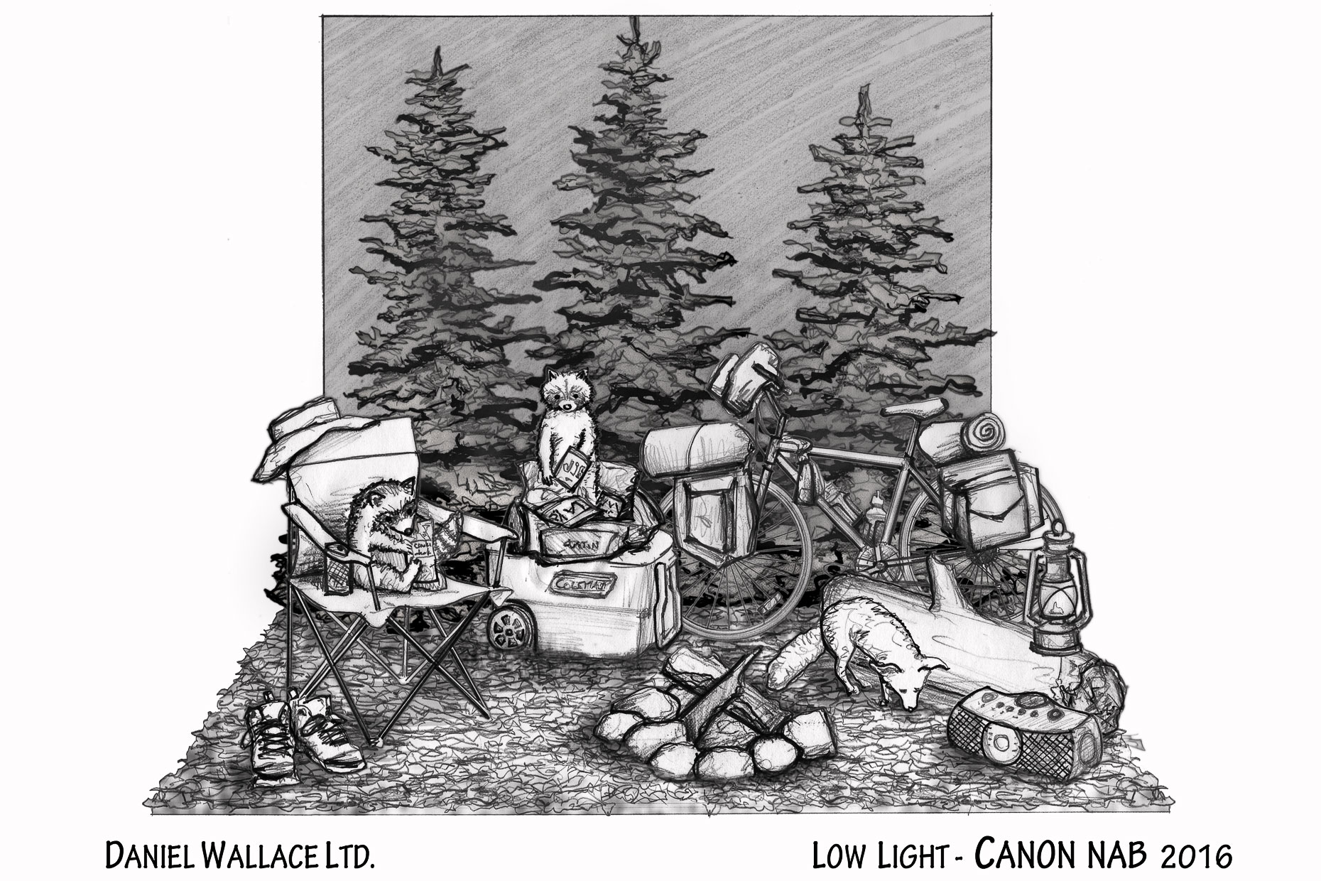 NAB2016-Canon-LOW-LIGHT-sketch